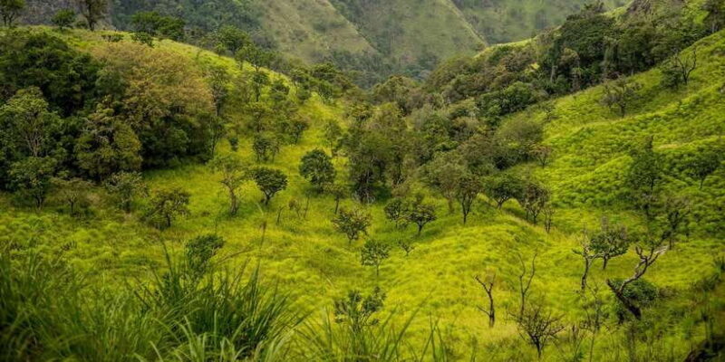 ATV Ride in Ella - An In-Depth Look at the ATV Ride in Ella