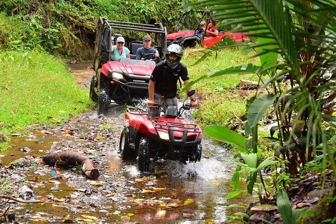 ATV River, Beach, Jungle Adventure and Crocodiles Hotspot from San Jose - Final Thoughts