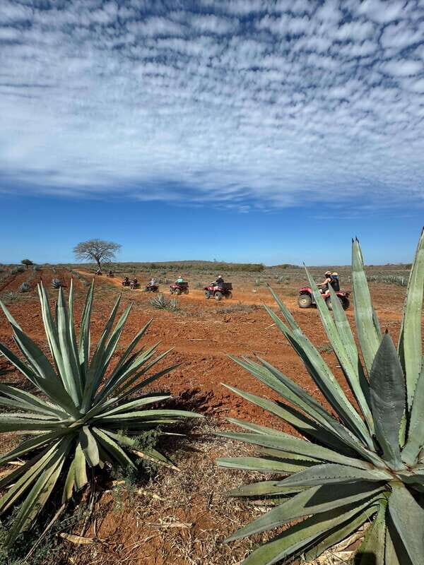 ATV & TEMAZCAL COMBO TOUR - Final Thoughts