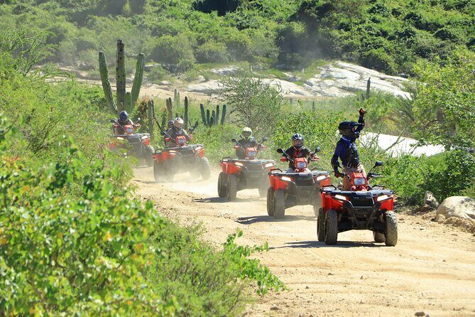 ATV Tour, Camel Ride, Tequila Tasting and Mexican Buffet Lunch - Authentic Experiences and Real-World Tips