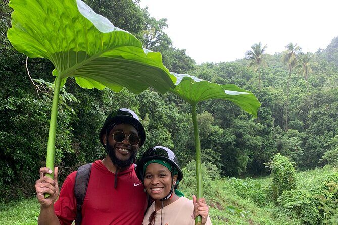 ATV Tour: Eco Friendly Scenic Bellwood Layou Rainforest - Key Points
