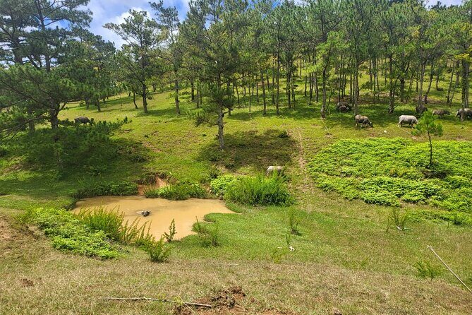 ATV Tour In The Dalat Mountains - Who Is This Tour Best For?