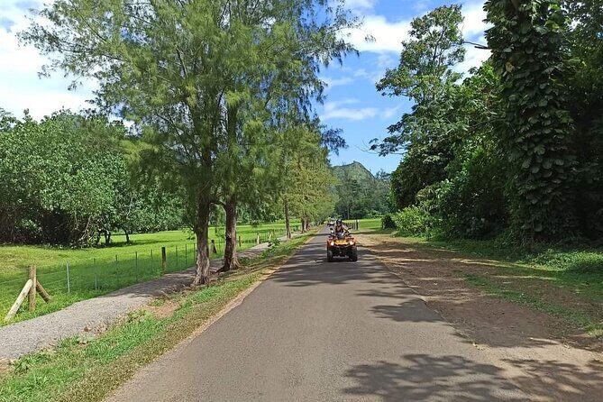 ATV Tour QUAD - A Detailed Look at the Moorea ATV Tour