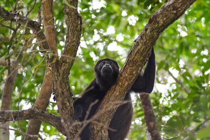ATV Tour Top Adventure Through beaches & Towns - Authentic Encounters and Scenic Highlights
