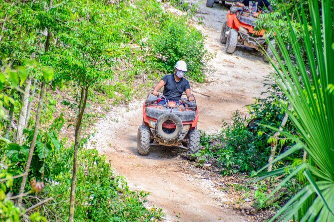 ATV Tour, Ziplines, Mayan Cenote, Tacos, Tequila and Transport - A Close Look at the Tour Experience