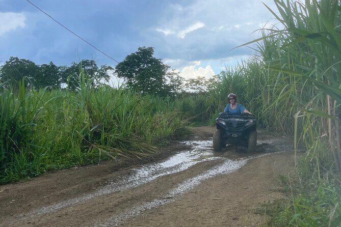 ATV, Zipline, Horseback, Bamboo Rafting and Ricks Cafe - The Sum Up