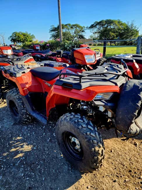 ATV'S, Horseback Riding, & Ziplining Adventure - Horseback Riding: Peaceful Trails and Connection with Nature