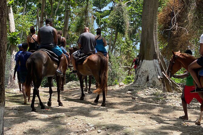 ATVs/zipline/Hb riding and catamaran all day activities. - Who Will Love This Experience?
