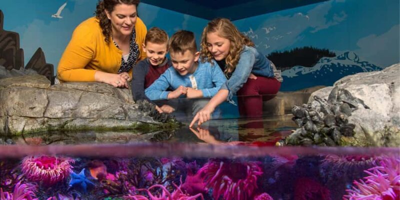 Auburn Hills: Legoland and Sea Life Aquarium Combo Ticket - Discovering Auburn Hills: A Family Day Out at LEGOLAND and Sea Life Aquarium
