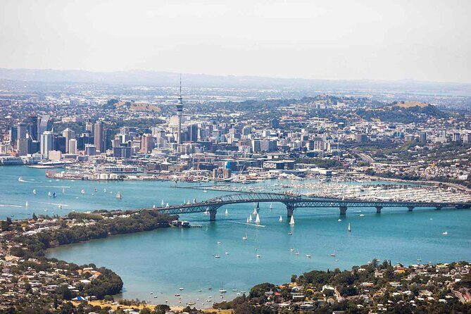 Auckland Airport AKL to Auckland/NorthShore/Middlemore/Chinatown - Why This Transfer Is Worth Considering