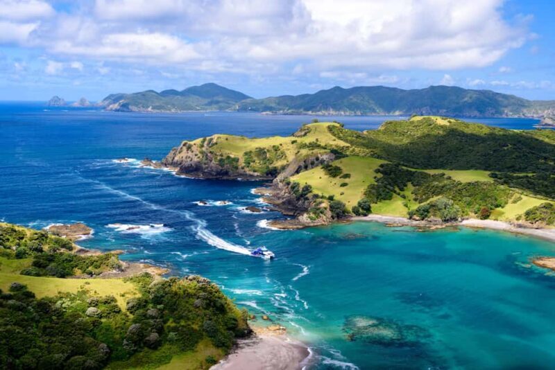Auckland: Bay of Islands Day Tour with Dolphin Cruise - Key Points