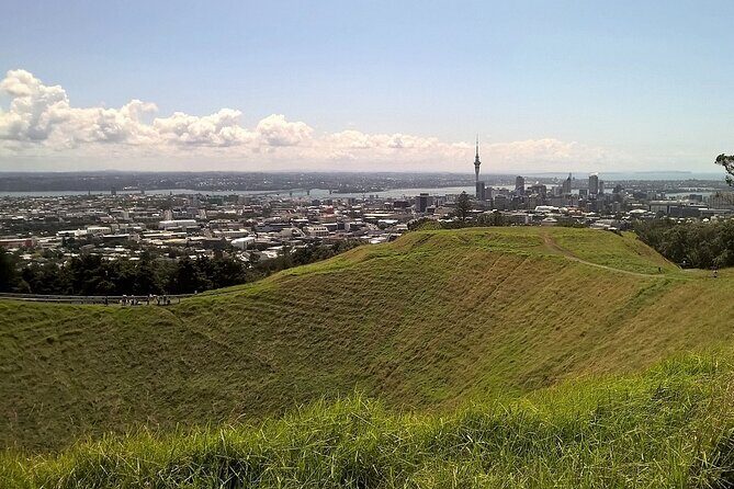 Auckland Best Top 5 Spots Half day Tour - Key Points