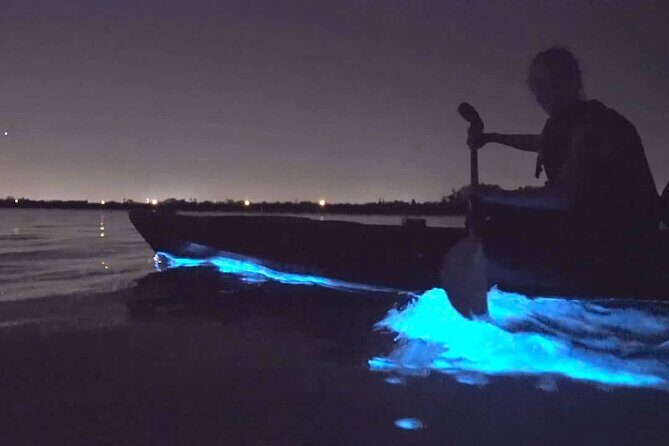 Auckland Bioluminescence Kayak Tour - A Glimpse into the Experience
