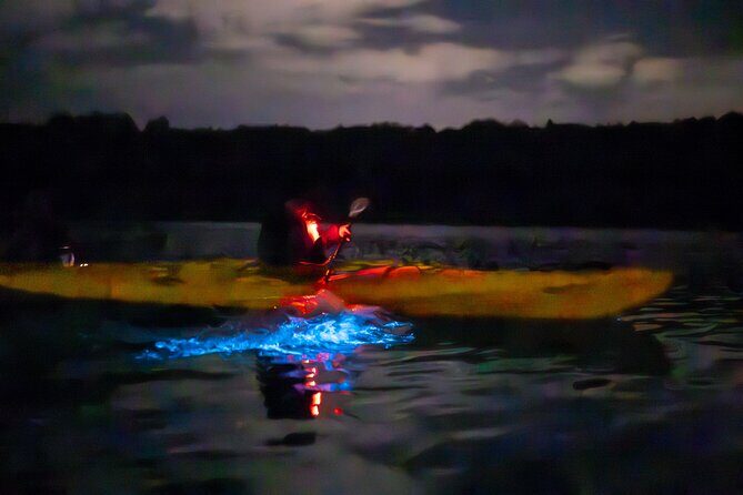 Auckland Bioluminescence Kayak Tour - Who Should Consider This Tour?