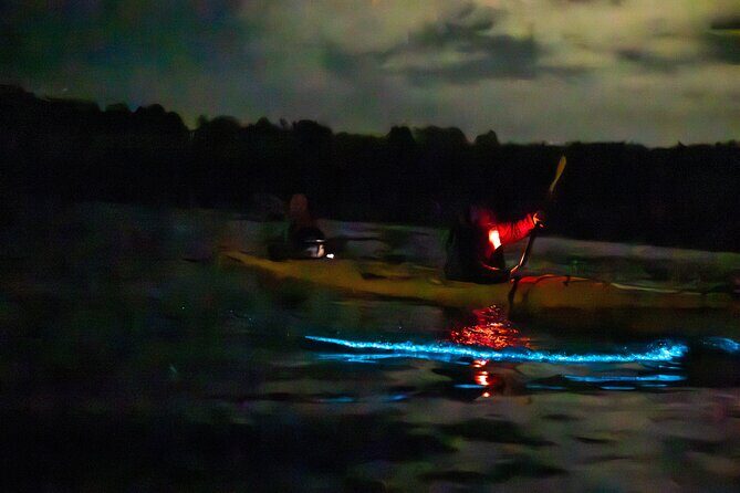 Auckland Bioluminescence Kayak Tour - Final Thoughts
