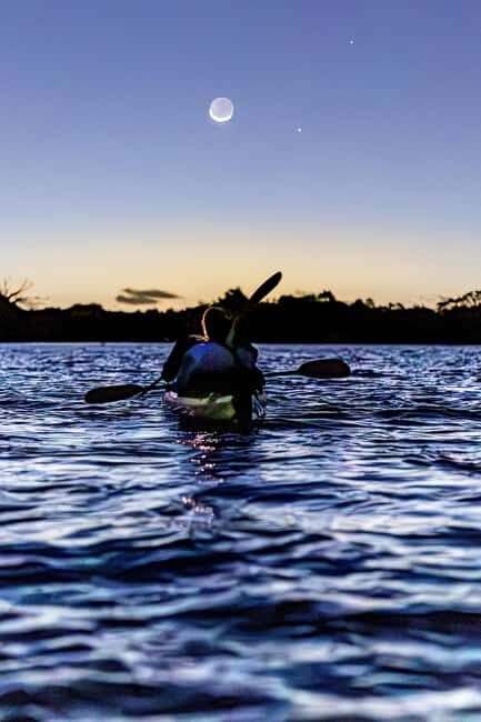 Auckland: Bioluminescence Kayak Tour - Scientific Insights and Why It Matters