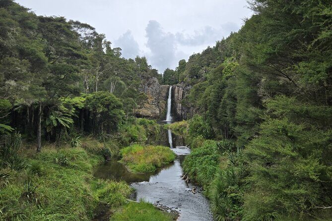 Auckland Birdwatching and Hiking Private Tour - Lunch at a Local Café