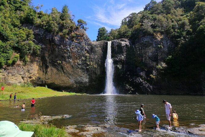 Auckland Birdwatching and Hiking Private Tour - Afternoon in Hunua Ranges Regional Park