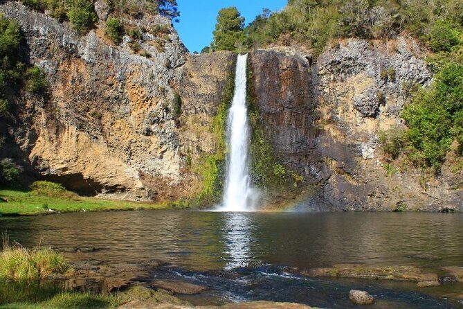 Auckland Birdwatching and Hiking Private Tour - The Practical Side: What’s Included and What to Expect