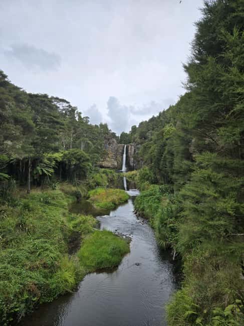 Auckland: Birdwatching, Hiking & Waterfalls Tour - Auckland: Birdwatching, Hiking & Waterfalls Tour - a Nature Lover’s Delight