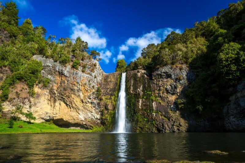 Auckland: Birdwatching, Hiking & Waterfalls Tour - Who Should Consider This Tour?
