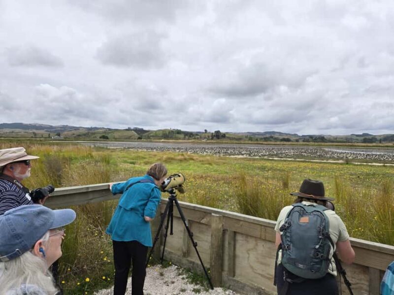 Auckland: Birdwatching, Hiking & Waterfalls Tour - Final Words