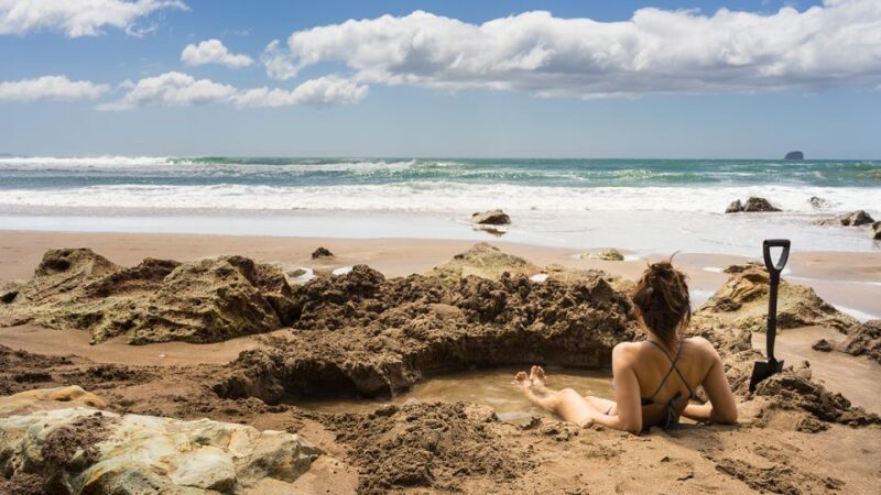 Auckland: Cathedral Cove and Coromandel Small Group Tours - Who Is This Tour Best Suited For?
