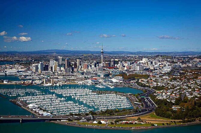 Auckland City and Native Kiwi Encounter Small Group Tour - Key Points