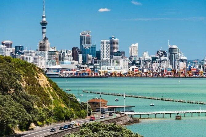 Auckland City and Native Kiwi Encounter Small Group Tour - An In-Depth Look at the Auckland City and Native Kiwi Encounter Tour