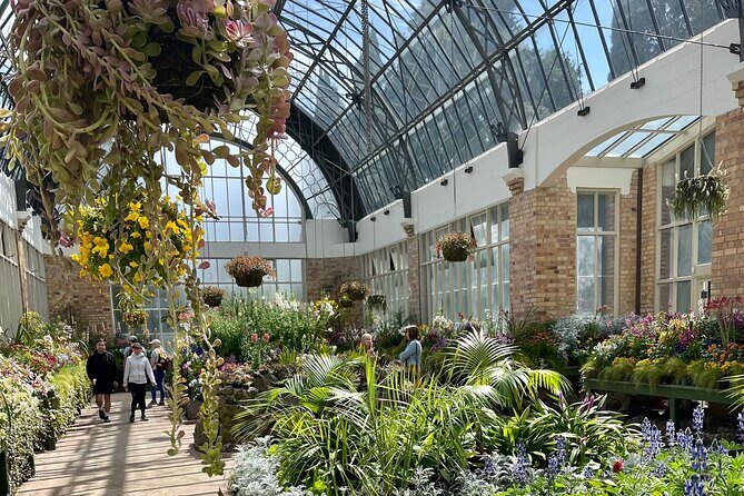 Auckland City Express - Key Points