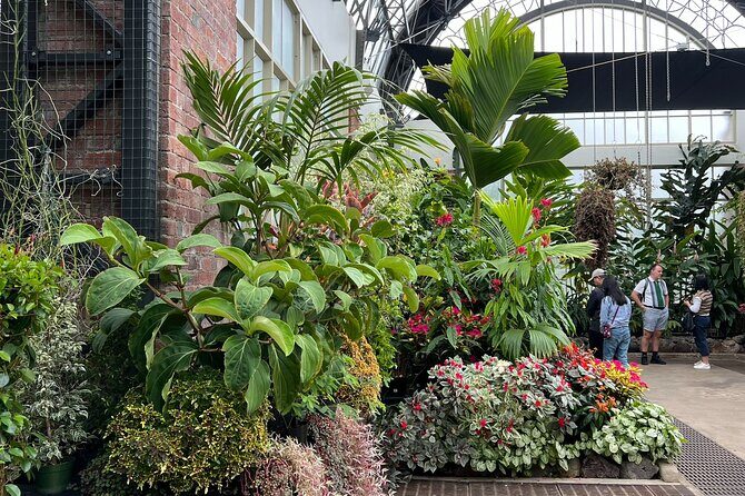 AUCKLAND CITY Full Day Tour with War Memorial Museum and Mt Eden - Final Thoughts