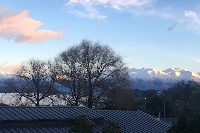 Auckland City Half Day Tour - Value and Cost Analysis