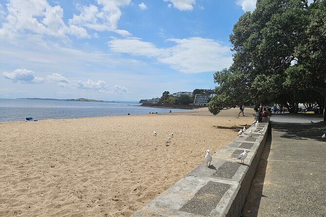 Auckland City Halfday Private Tour - The Sum Up