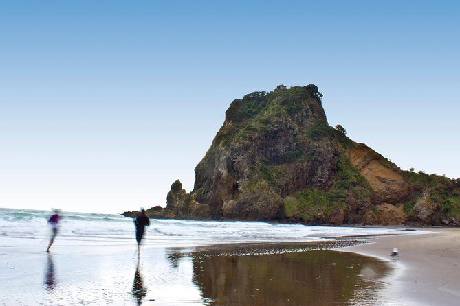 Auckland City Highlights, Afternoon Piha Beach & Rainforest Tour - The Real Value of This Tour