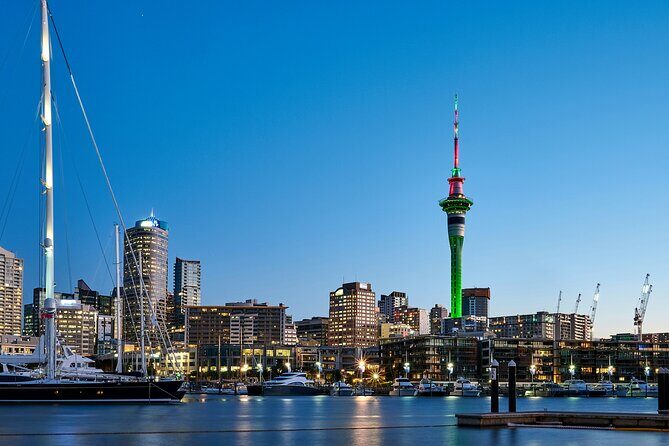 Auckland City Highlights and Hidden Gems Half Day Tour - Key Points