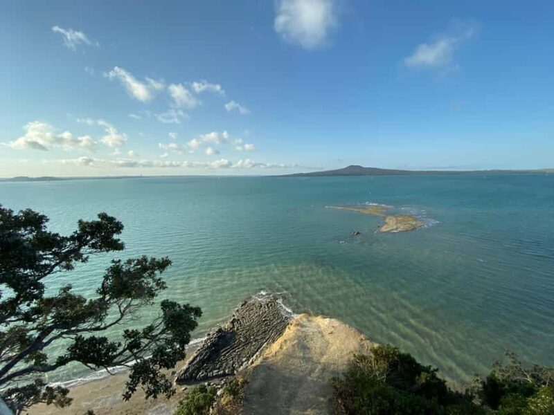 Auckland: City Highlights and Native Forest Experience - Who Will Appreciate This Experience