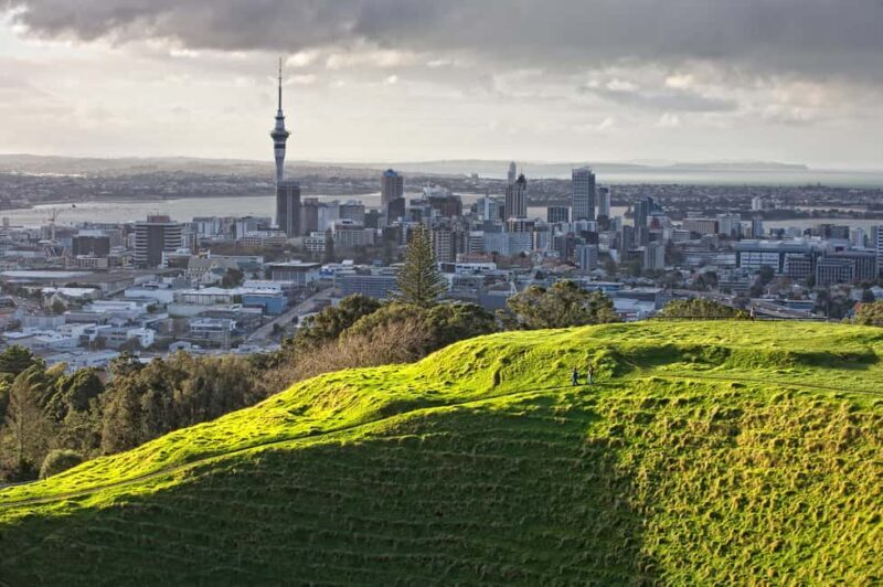 Auckland: City Highlights and Native Forest Experience - Final Thoughts