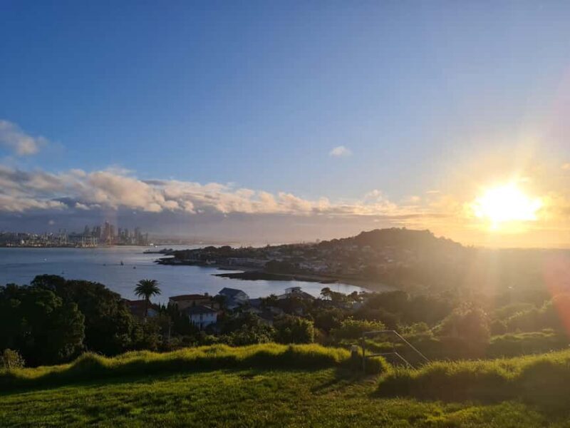 Auckland City Highlights Half Day Tour - Key Points