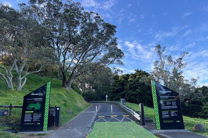 AUCKLAND CITY HIGHLIGHTS Half Day Tour with Hotel Pickup - The Full Experience: What to Expect from the Auckland Highlights Tour