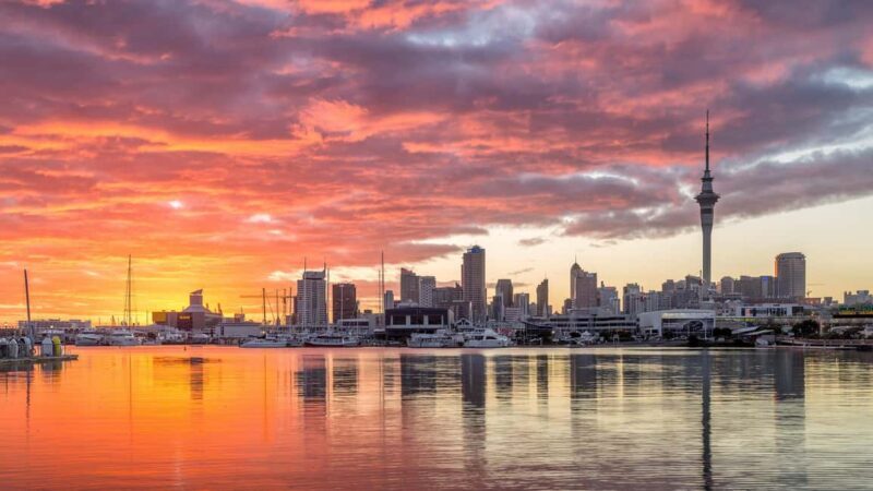 Auckland: City Highlights Private Tour - Exploring Auckland’s East Coast: A Balancing Act of Beauty and History