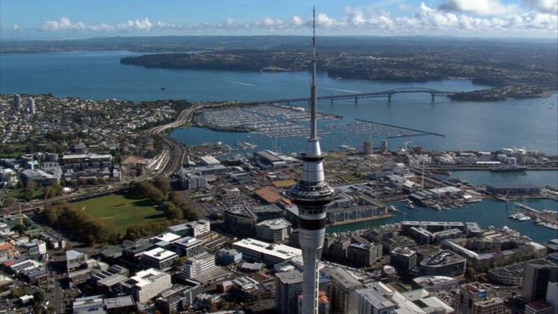 Auckland: City Highlights Private Tour - A Closer Look at Each Stop