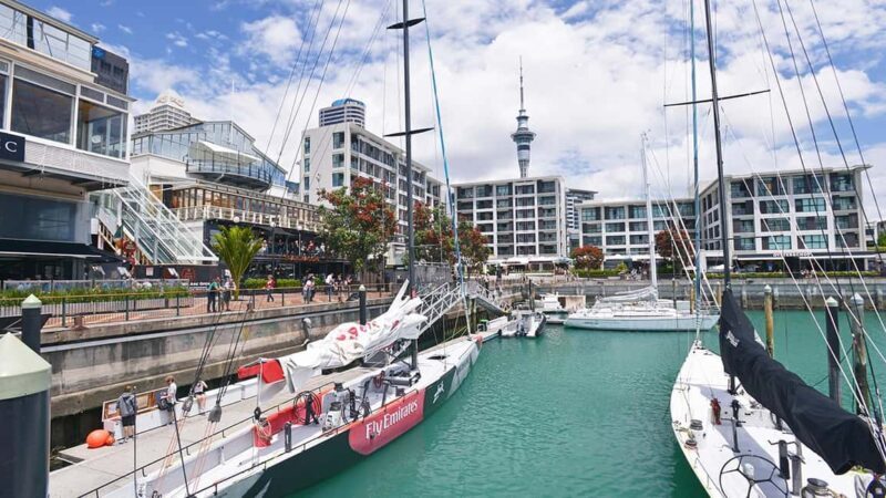 Auckland City Highlights Small-Group Tour (Half-Day) - Final Thoughts