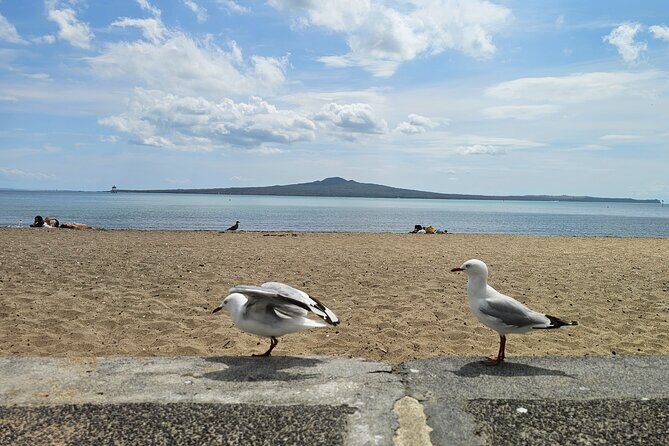 Auckland City Highlights Tour - Auckland Domain and Wintergarden: A Historic Green Escape
