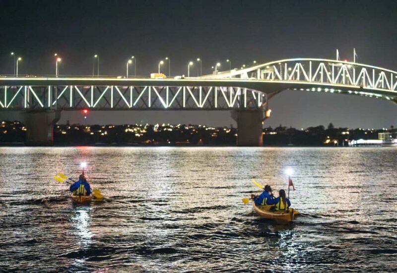Auckland: City Lights Night Kayak Tour - Key Points