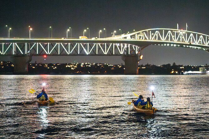 Auckland City Lights Night Kayaking Tour - Key Points