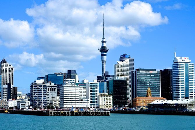 Auckland City & Native Forest Experience - Fully Guided Day Tour - A Full-Day Adventure Through Auckland’s Best: Native Forests, City Highlights, and Scenic Vistas