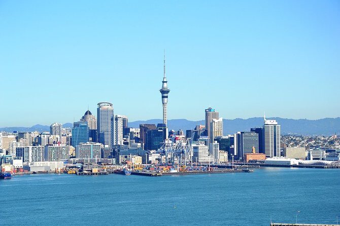 Auckland City & Native Forest Experience - Fully Guided Day Tour - Key Points