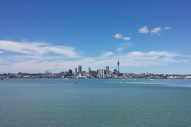 Auckland City Small-Group Morning Discovery Tour - Final Thoughts