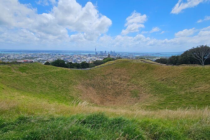 Auckland City Small Group Private Tour - Who Would Love This Tour?