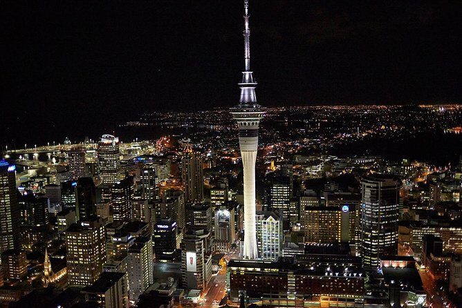 Auckland City Tour  Fast, Fun & Full of Views! (Half-Day) - Key Points